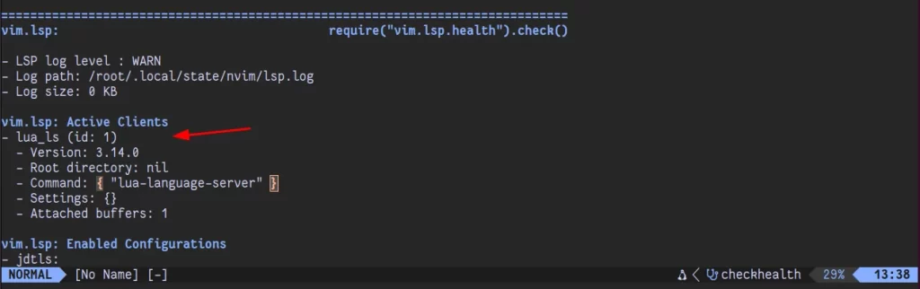 Neovim LSP Active Clients