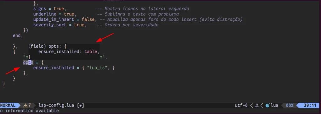 Neovim LSP hover tipo variável